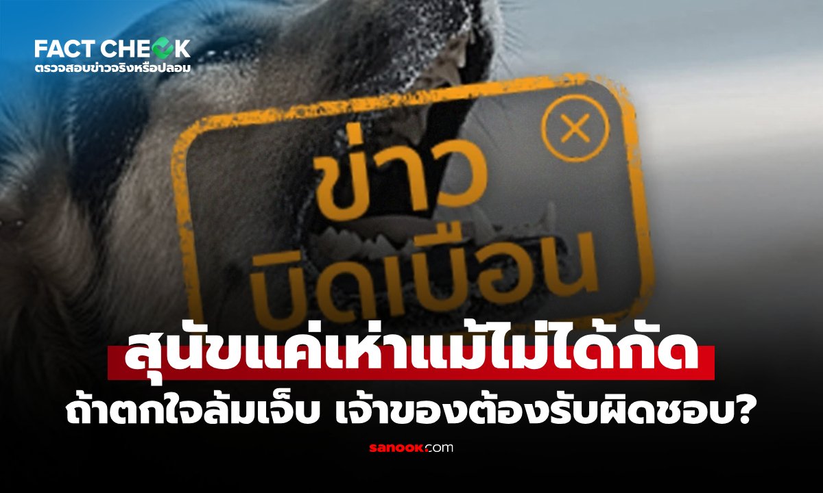 ไขข้อข้องใจ: สุนัขเห่าจนคนตกใจล้มบาดเจ็บ เจ้าของต้องรับผิดชอบค่าเสียหายหรือไม่?