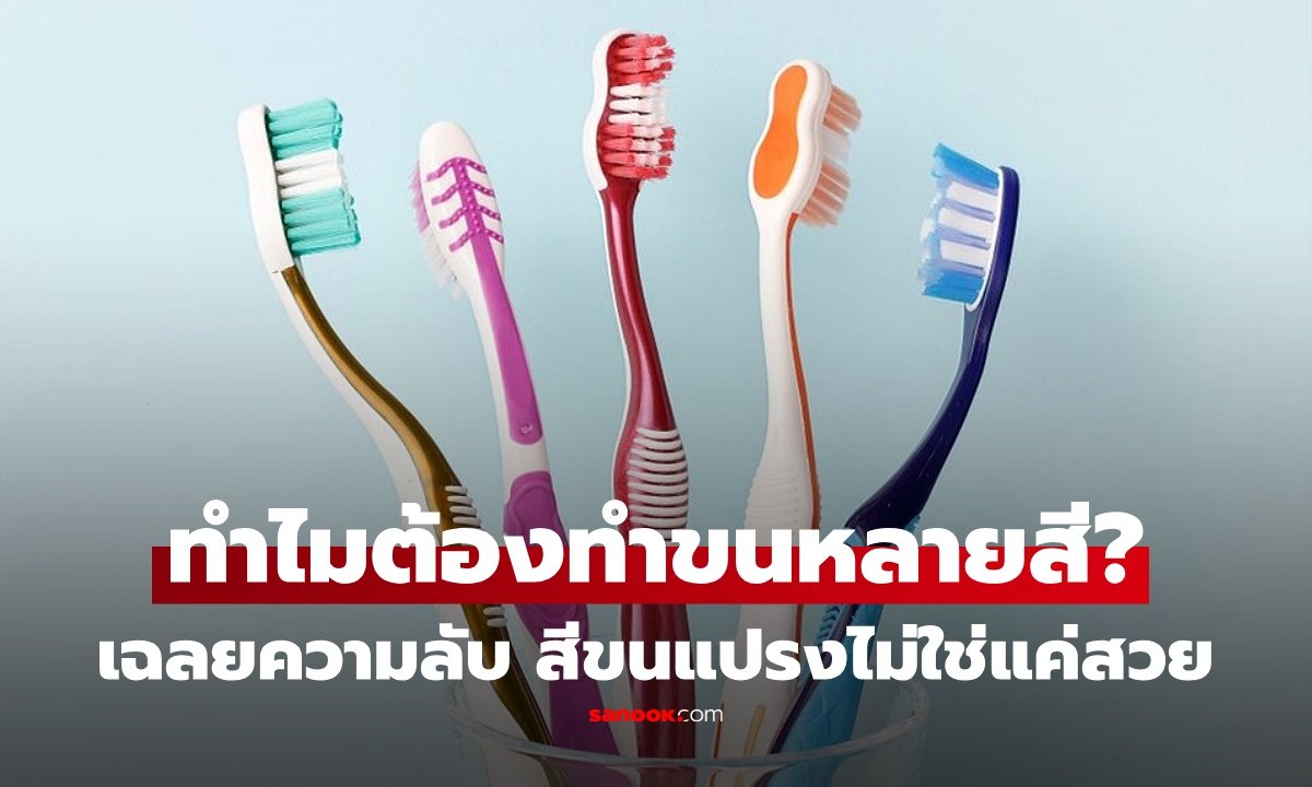 ไขข้อสงสัย! ทำไมขนแปรงสีฟันต้องมีหลายสี? มากกว่าแค่ความสวยงามที่หลายคนมองข้าม
