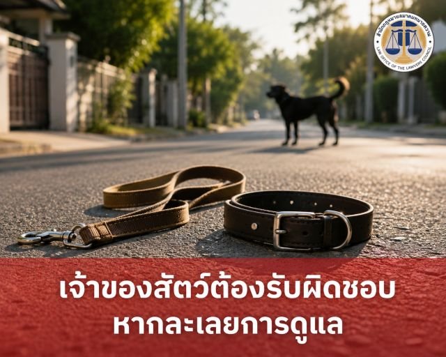 ไขข้อข้องใจ: สุนัขเห่าจนคนตกใจล้มบาดเจ็บ เจ้าของต้องรับผิดชอบค่าเสียหายหรือไม่?
