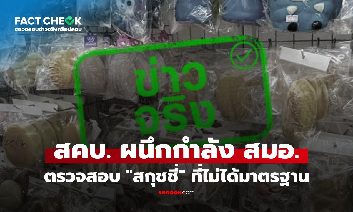 สคบ. จับมือ สมอ. ลุยตรวจมาตรฐานของเล่น 'สกุชชี่' ป้องกันอันตรายต่อผู้บริโภค