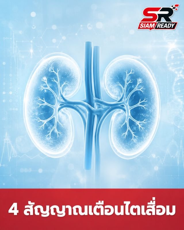 อย่ารอให้ปวดหลัง! เปิด 4 สัญญาณเตือนภัย 'ไตเสื่อม' ก่อนสายเกินแก้
