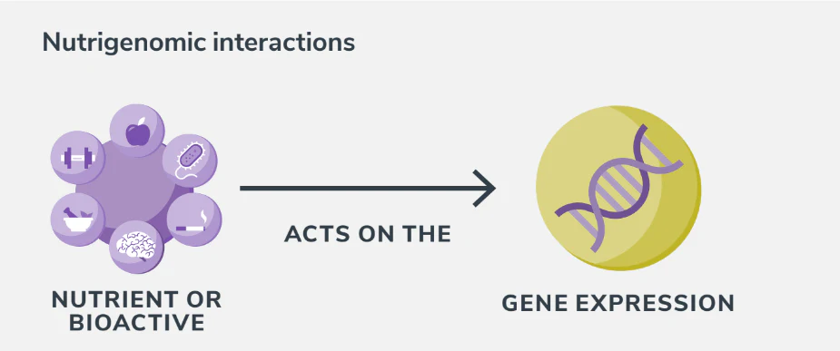 เจาะลึก 'Nutri-Genomics' เทรนด์สุขภาพปี 69 ปฏิวัติการกินด้วยรหัสพันธุกรรมเฉพาะบุคคล