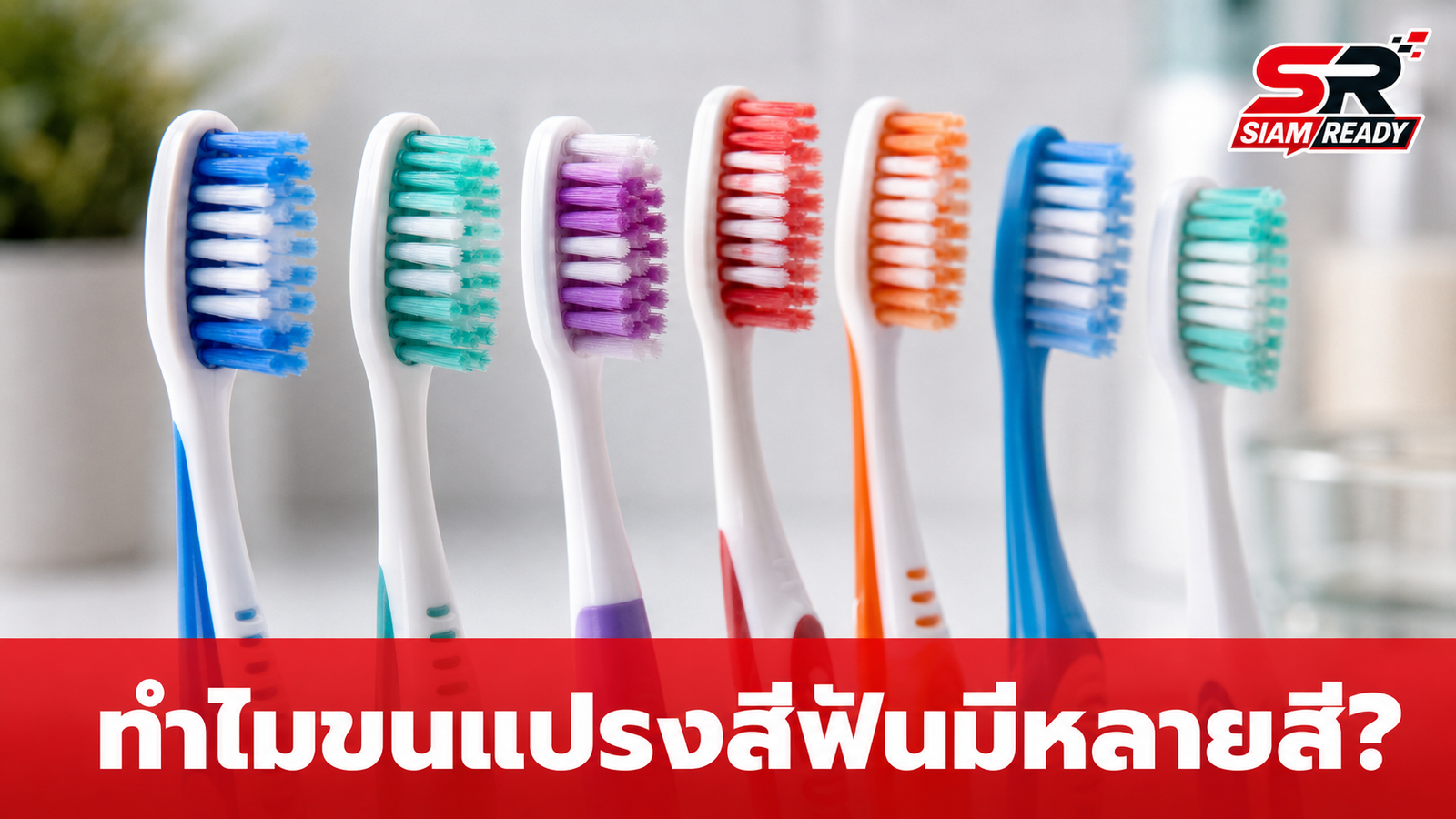 ไขข้อสงสัย! ทำไมขนแปรงสีฟันต้องมีหลายสี? มากกว่าแค่ความสวยงามที่หลายคนมองข้าม