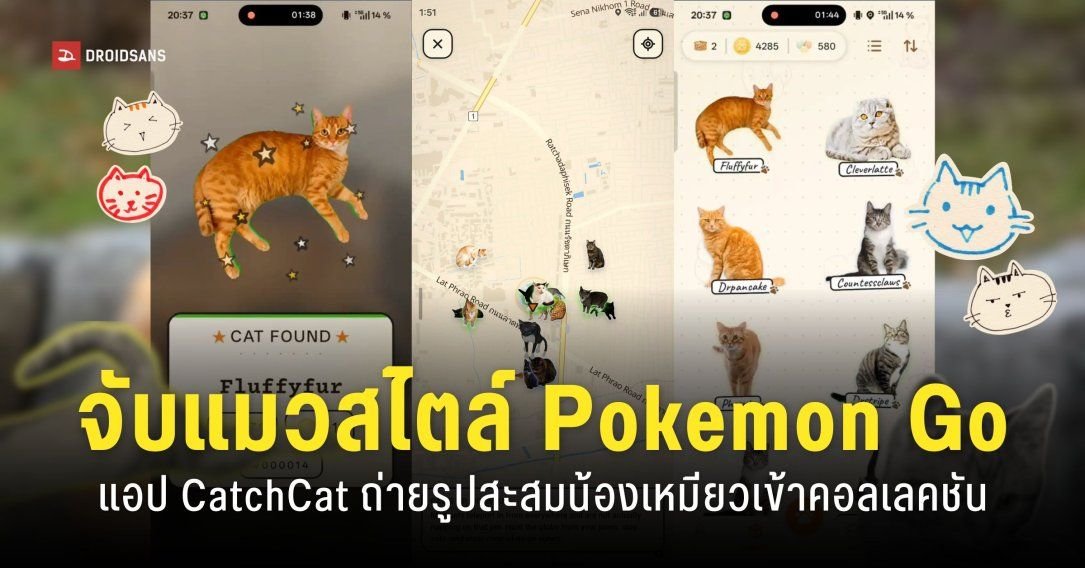 CatchCat แอปเกมมาแรง ชวนออกสำรวจโลกจริงตามล่าถ่ายรูปแมวสะสม