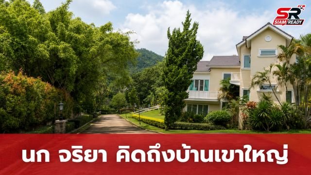 นก จริยา แอนโฟเน่ โพสต์คลิปย้อนวันวาน คิดถึงบ้านพักเขาใหญ่ พร้อมเตรียมตัวกลับไปใช้ชีวิตปลายปีนี้