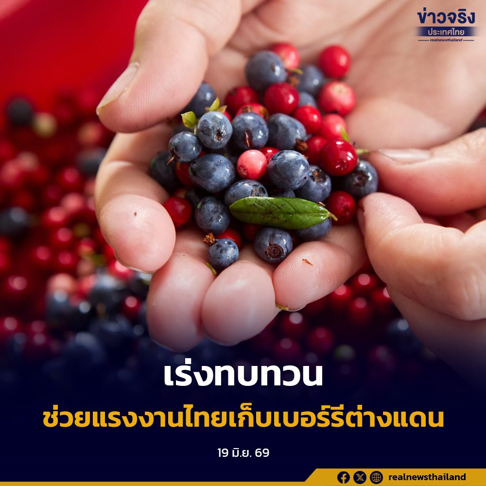“จุลพันธ์” เปิดรับข้อเสนอสหภาพแรงงานต่างแดน จ่อทบทวนมาตรการช่วยแรงงานเก็บเบอร์รี
