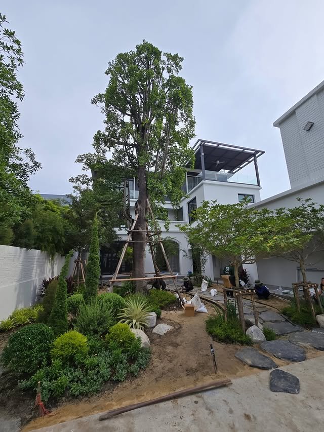 เปิดภาพ 'บ้านสุขสมใจ' บ้านหลังใหม่สุดอบอุ่นของ 'สมชาย เข็มกลัด' บรรยากาศร่มรื่นน่าอยู่