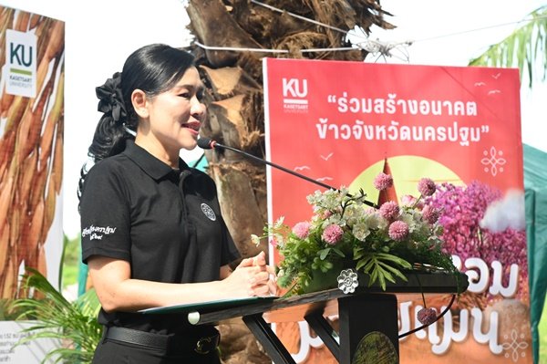 มก. กำแพงแสน เปิดตัว 'ข้าวหอมมาลัยแมน' ยกระดับมาตรฐานข้าวไทยสู่เกษตรกร