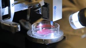 ก้าวสำคัญวงการแพทย์ไทย! พัฒนาเทคโนโลยี 'Bio-Printing' เตรียมทดสอบปลูกถ่ายเนื้อเยื่อจากเซลล์ตัวเอง