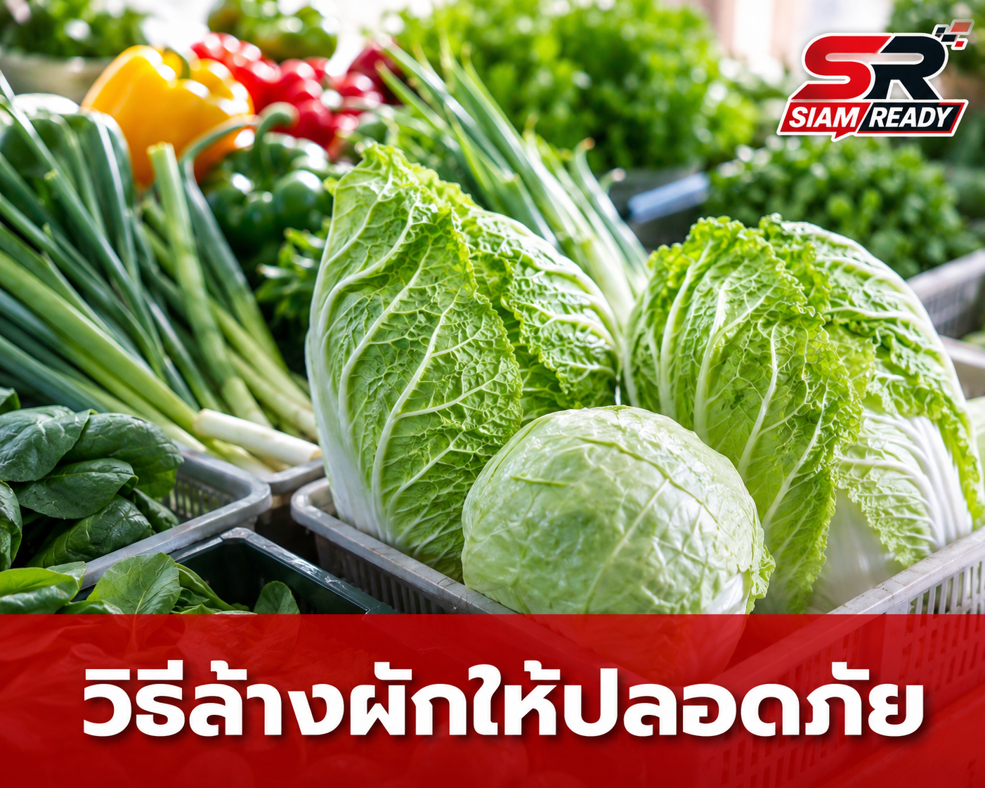 เตือนภัย 5 ผักสารตกค้างสูง! ไขความจริงรอยแมลงกัดกินไม่ได้แปลว่าปลอดภัย