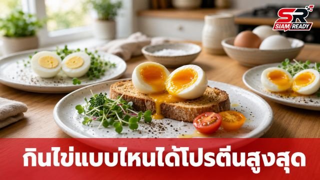 ไข่ต้มสุก vs ไข่ยางมะตูม แบบไหนร่างกายดูดซึมโปรตีนได้ดีกว่า และไม่เสี่ยงแบคทีเรียซุก