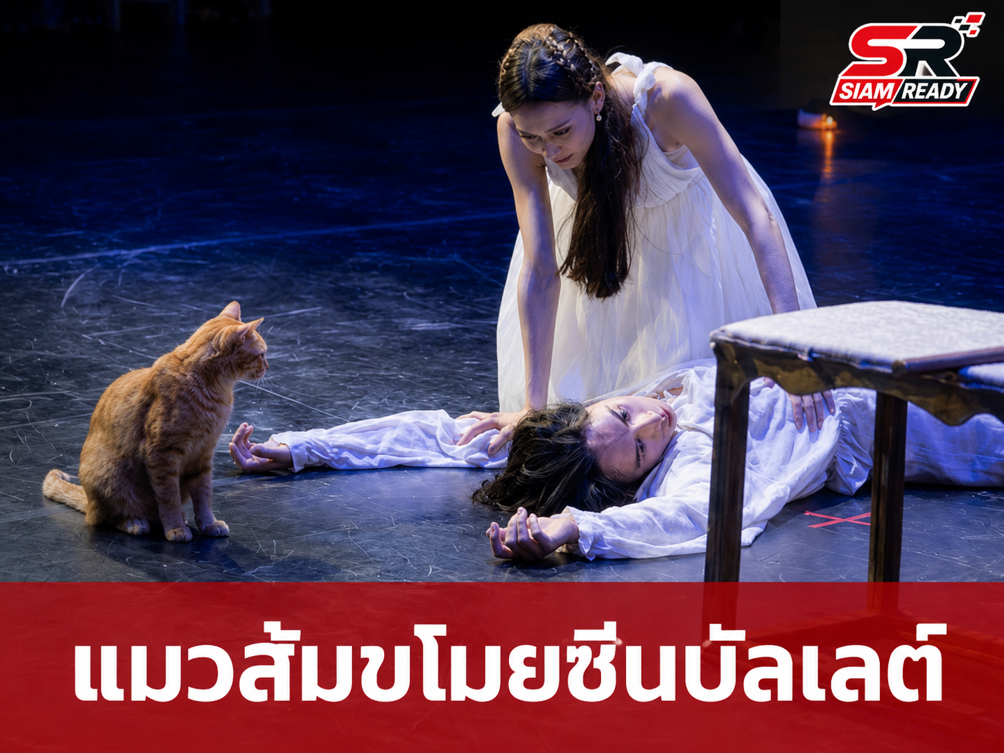 แมวส้มขโมยซีน! บุกเวทีบัลเลต์ 'โรมิโอและจูเลียต' ที่ตุรกี กลายเป็นดาวเด่นขวัญใจผู้ชม
