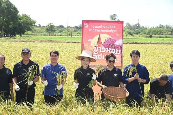 มก. กำแพงแสน เปิดตัว 'ข้าวหอมมาลัยแมน' ยกระดับมาตรฐานข้าวไทยสู่เกษตรกร