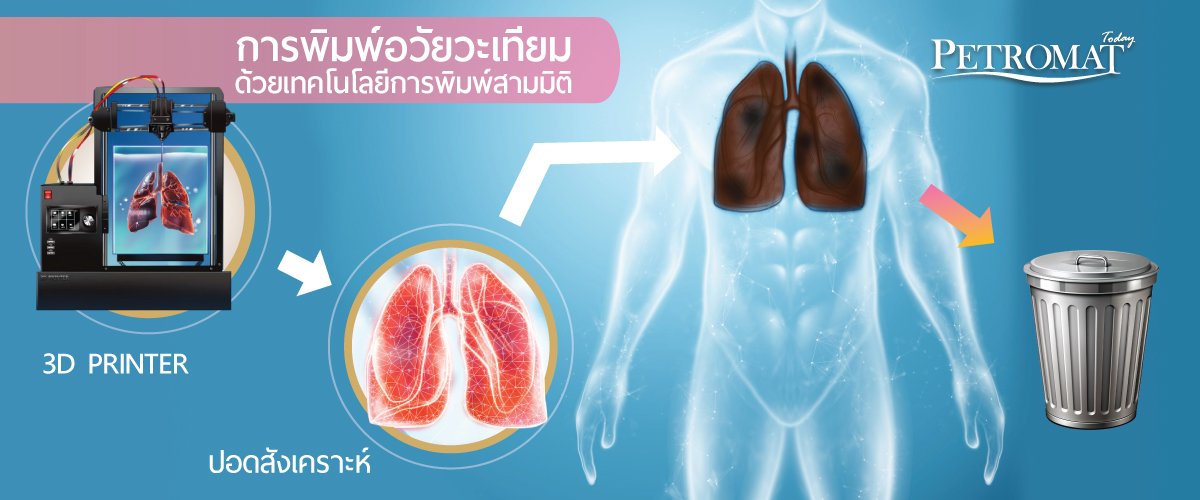 นวัตกรรมไทยล้ำหน้า! เปิดตัว 'Bio-Digital Twin' ระบบจำลองอวัยวะ 3 มิติ ยกระดับการรักษาแม่นยำ