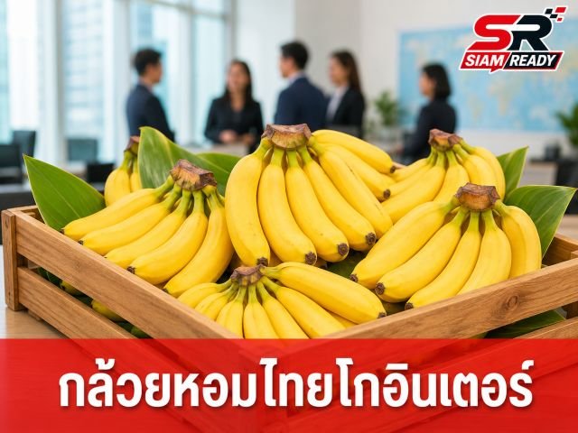 DITP เร่งเครื่องดันกล้วยหอมไทยบุกญี่ปุ่น ดึงผู้เชี่ยวชาญยกระดับมาตรฐานการผลิต