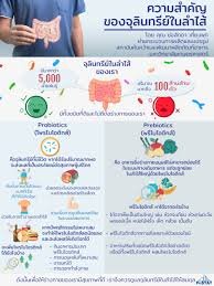 เจาะลึกเทรนด์สุขภาพปี 2569: 'Micro-Biome Diet' ปฏิวัติการดูแลลำไส้ด้วย AI และโภชนาการเฉพาะบุคคล