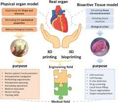 ก้าวสำคัญวงการแพทย์ไทย! พัฒนาเทคโนโลยี 'Bio-Printing' เตรียมทดสอบปลูกถ่ายเนื้อเยื่อจากเซลล์ตัวเอง