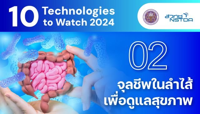 เจาะลึกเทรนด์สุขภาพปี 2569: 'Micro-Biome Diet' ปฏิวัติการดูแลลำไส้ด้วย AI และโภชนาการเฉพาะบุคคล