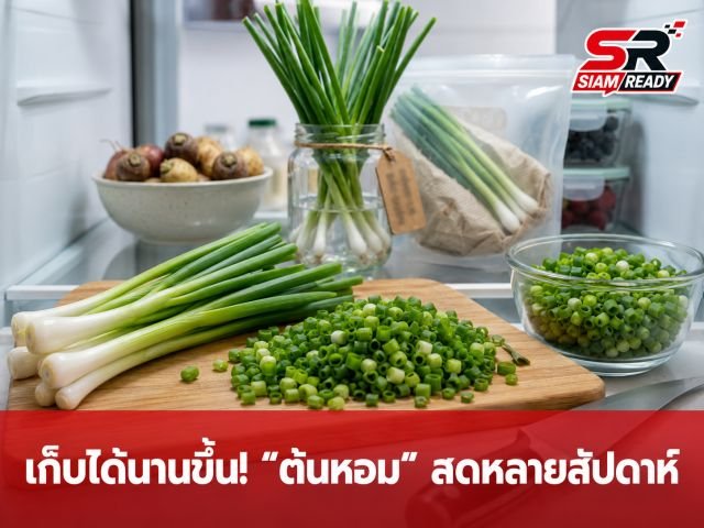 บอกลาต้นหอมเน่าคาตู้เย็น! เผยเคล็ดลับ 'แช่แข็ง' อย่างถูกวิธี ให้สดนานหลายสัปดาห์