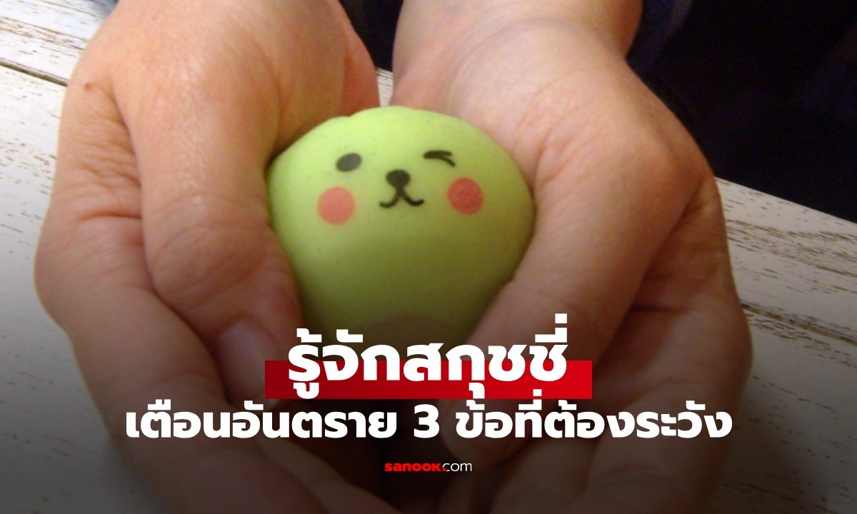 เจาะลึกอันตรายจาก 'สกุชชี่' ของเล่นนุ่มนิ่มที่อาจแฝงพิษร้ายต่อสุขภาพ