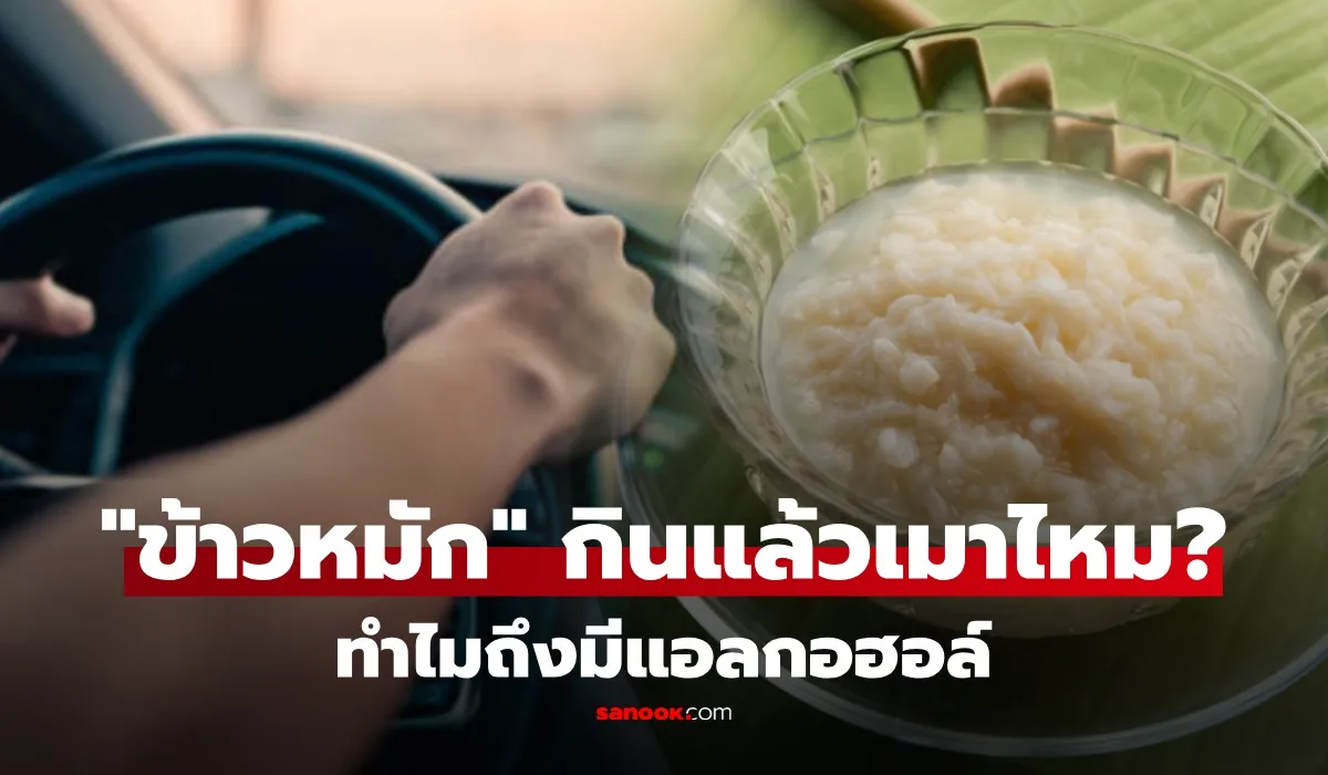 เตือนภัยสายกิน! 'ข้าวหมัก' อาหารยอดฮิตเทศกาลเรือมังกร ทำเสี่ยงตรวจแอลกอฮอล์ขึ้น