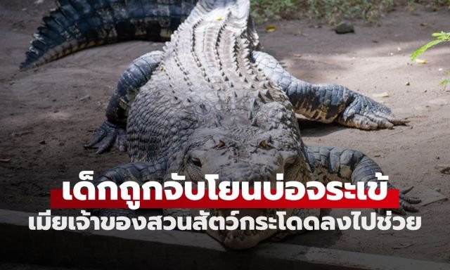 ระทึก! ชายแปลกหน้าโยนเด็ก 3 ขวบลงบ่อจระเข้แม่น้ำไนล์ ภรรยาเจ้าของสวนสัตว์เสี่ยงตายกระโดดช่วย