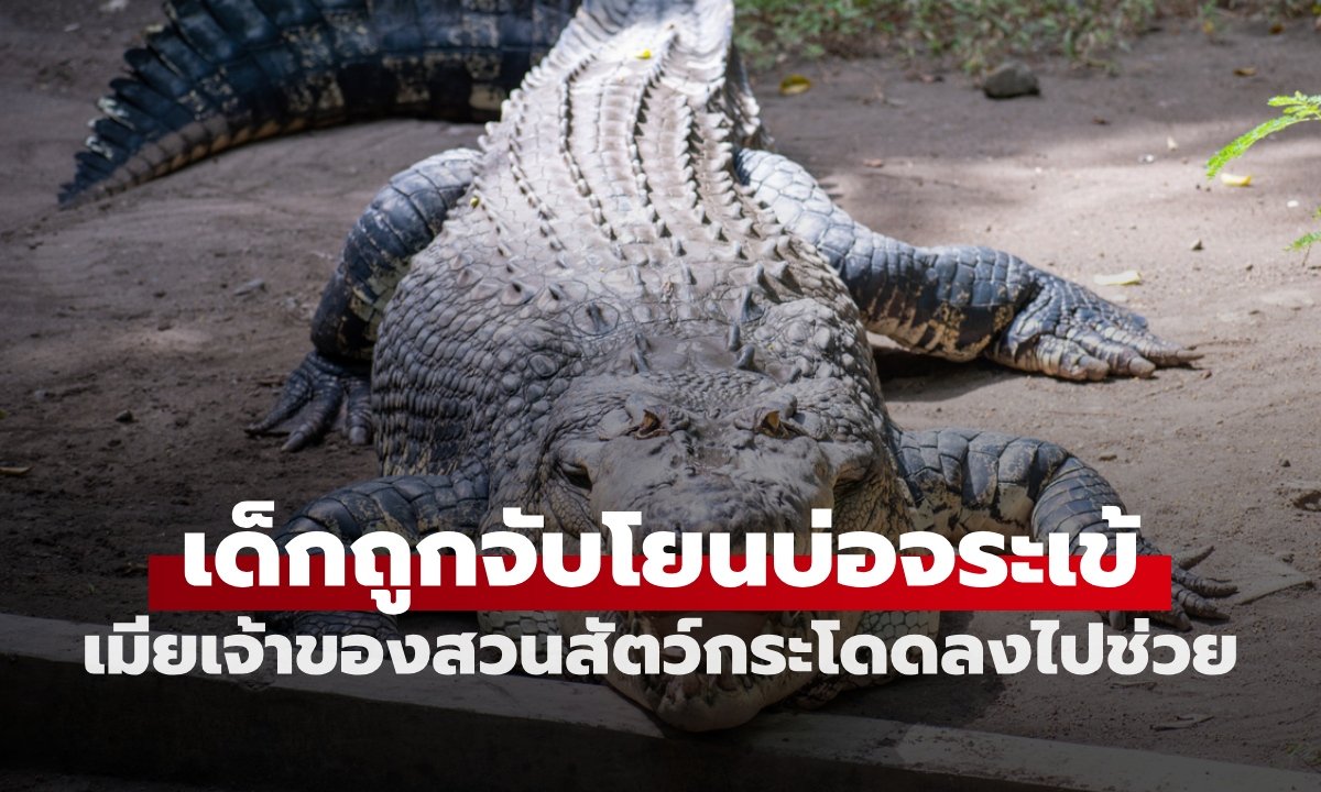 ระทึก! ชายแปลกหน้าโยนเด็ก 3 ขวบลงบ่อจระเข้แม่น้ำไนล์ ภรรยาเจ้าของสวนสัตว์เสี่ยงตายกระโดดช่วย