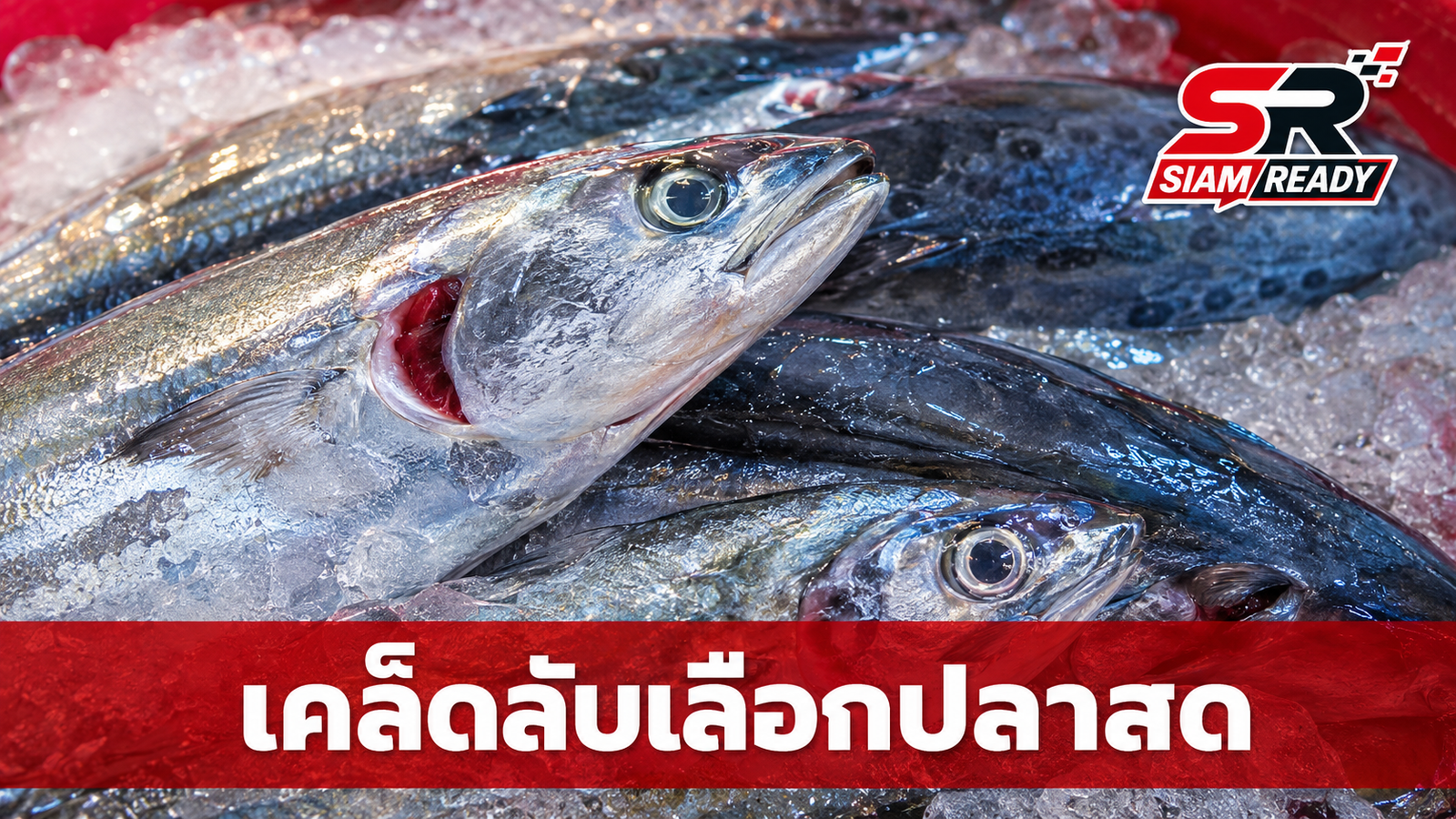 แนะเคล็ดลับเลือกซื้อปลาให้สดใหม่ มั่นใจคุณภาพด้วย 6 จุดสังเกตสำคัญ