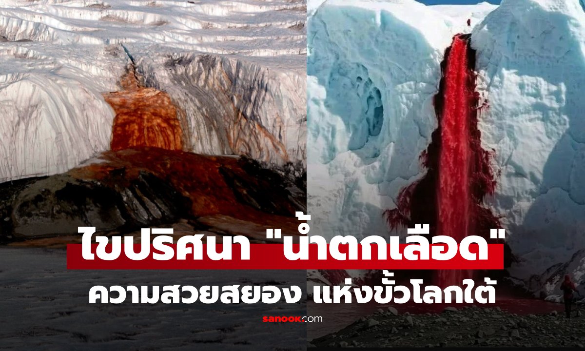 ไขปริศนา 100 ปี 'Blood Falls' น้ำตกเลือดแห่งแอนตาร์กติกา สีแดงฉานไม่ใช่สาหร่าย