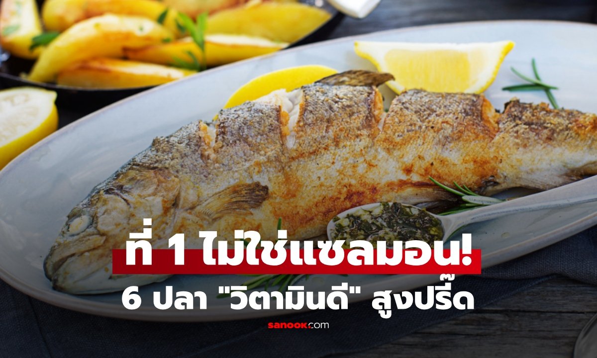 เปิดลิสต์ 6 ปลาแหล่งวิตามินดีสูง พร้อมข้อควรระวังเรื่องสารปรอทที่ควรรู้
