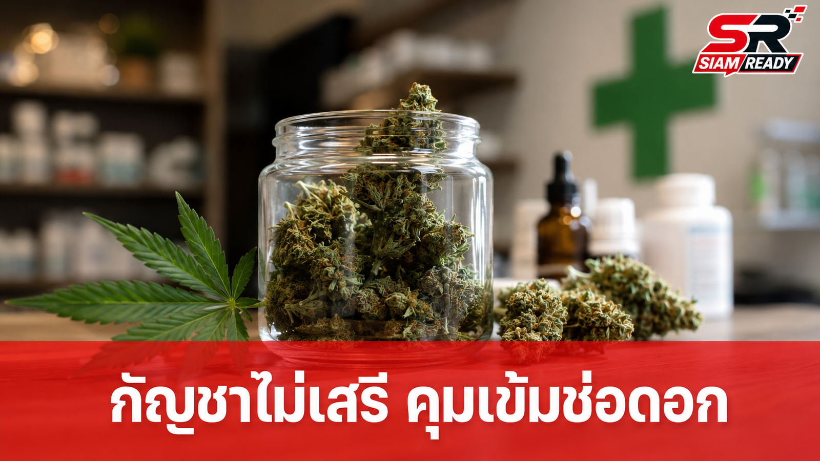 รัฐบาลย้ำกัญชาไม่เสรี คุมเข้มขายช่อดอกต้องมีใบสั่งแพทย์ ฝ่าฝืนส่งออกโทษคุก 10 ปี