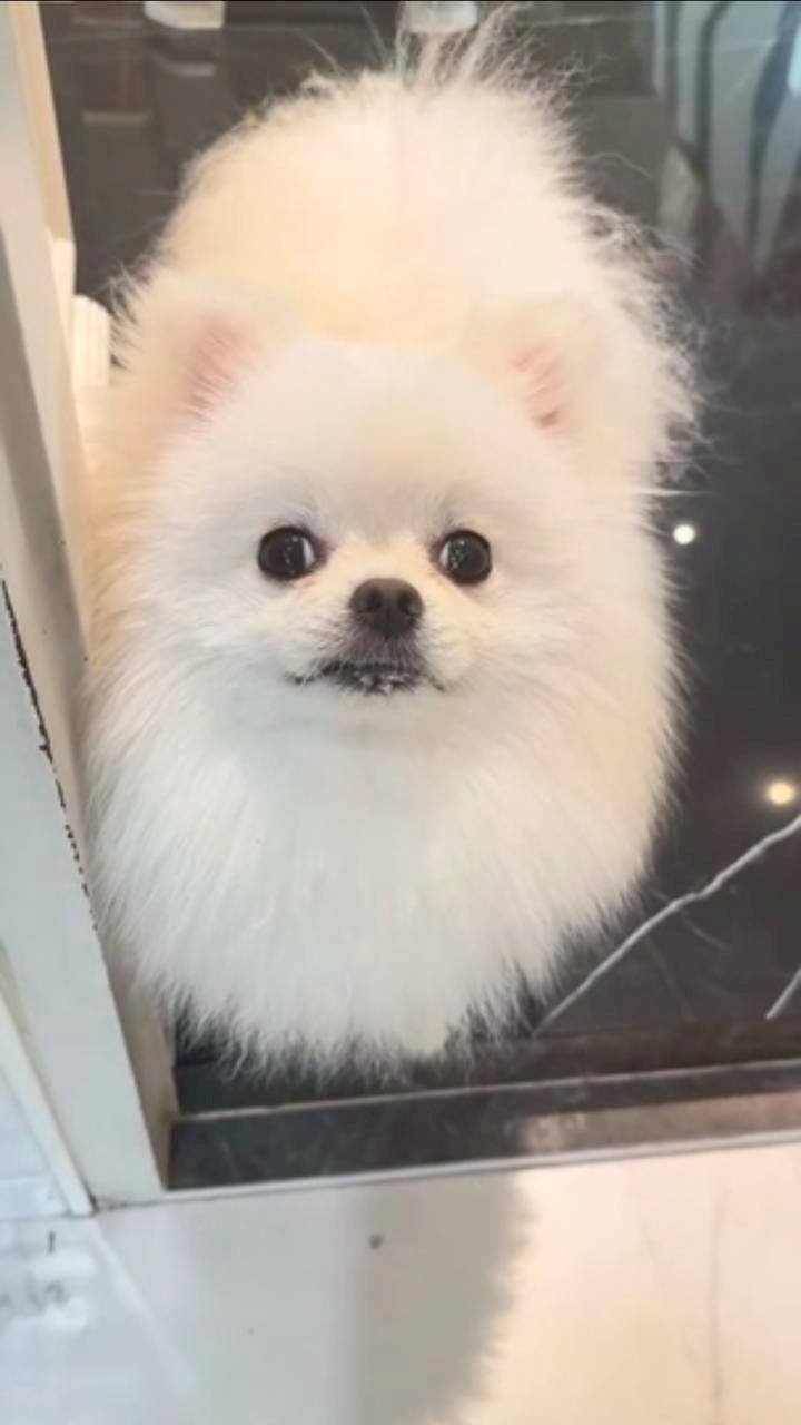 หนุ่ม กรรชัย ยิ้มไม่หุบ น้องมายู ลงมือทำเค้กวันเกิดให้ด้วยตัวเอง