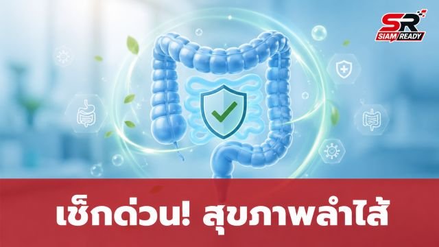 ขับถ่ายทุกวันไม่ได้การันตีว่าลำไส้แข็งแรง! เปิด 5 ดัชนีเช็กสุขภาพลำไส้ด้วยตัวเอง