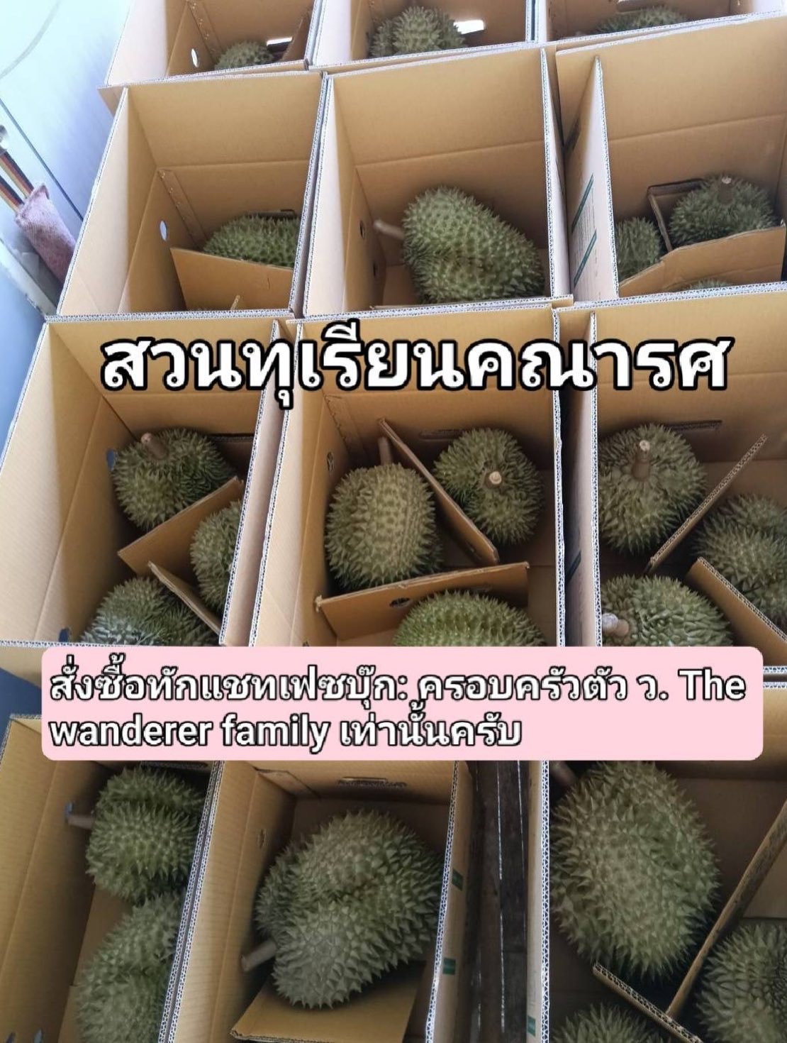 เวียร์ ศุกลวัฒน์ อวดผลผลิตจาก 'สวนทุเรียนคณารศ' ปีนี้ทุเรียนดกเต็มสวน