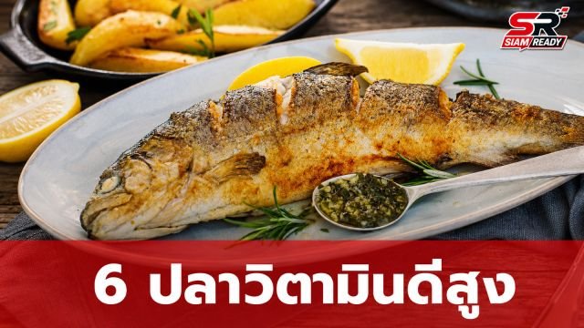 เปิดลิสต์ 6 ปลาแหล่งวิตามินดีสูง พร้อมข้อควรระวังเรื่องสารปรอทที่ควรรู้