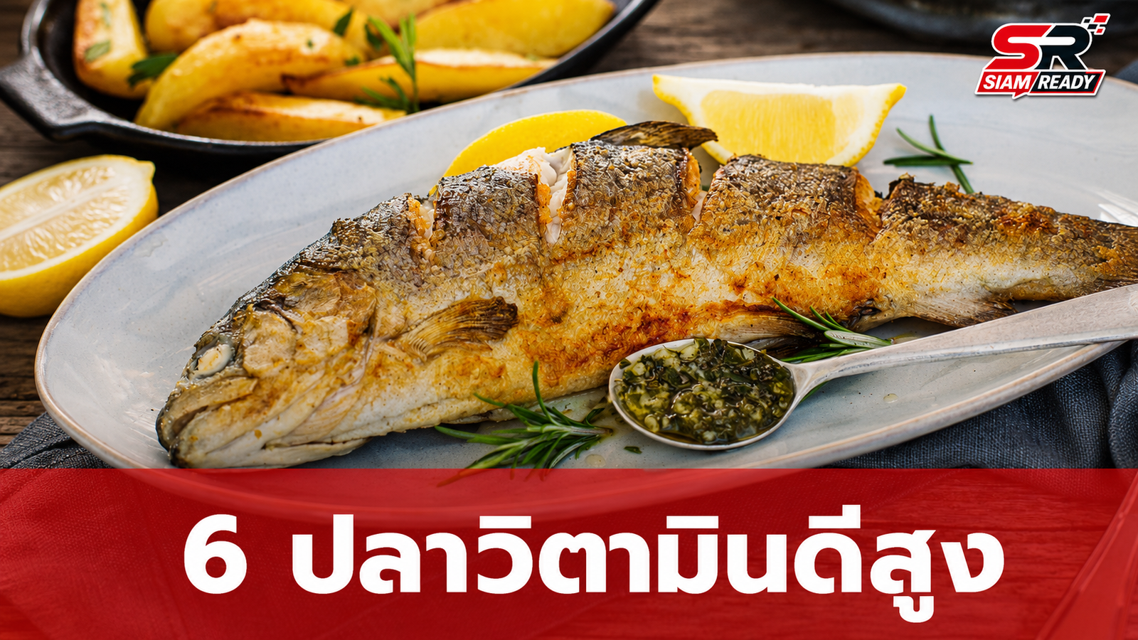 เปิดลิสต์ 6 ปลาแหล่งวิตามินดีสูง พร้อมข้อควรระวังเรื่องสารปรอทที่ควรรู้