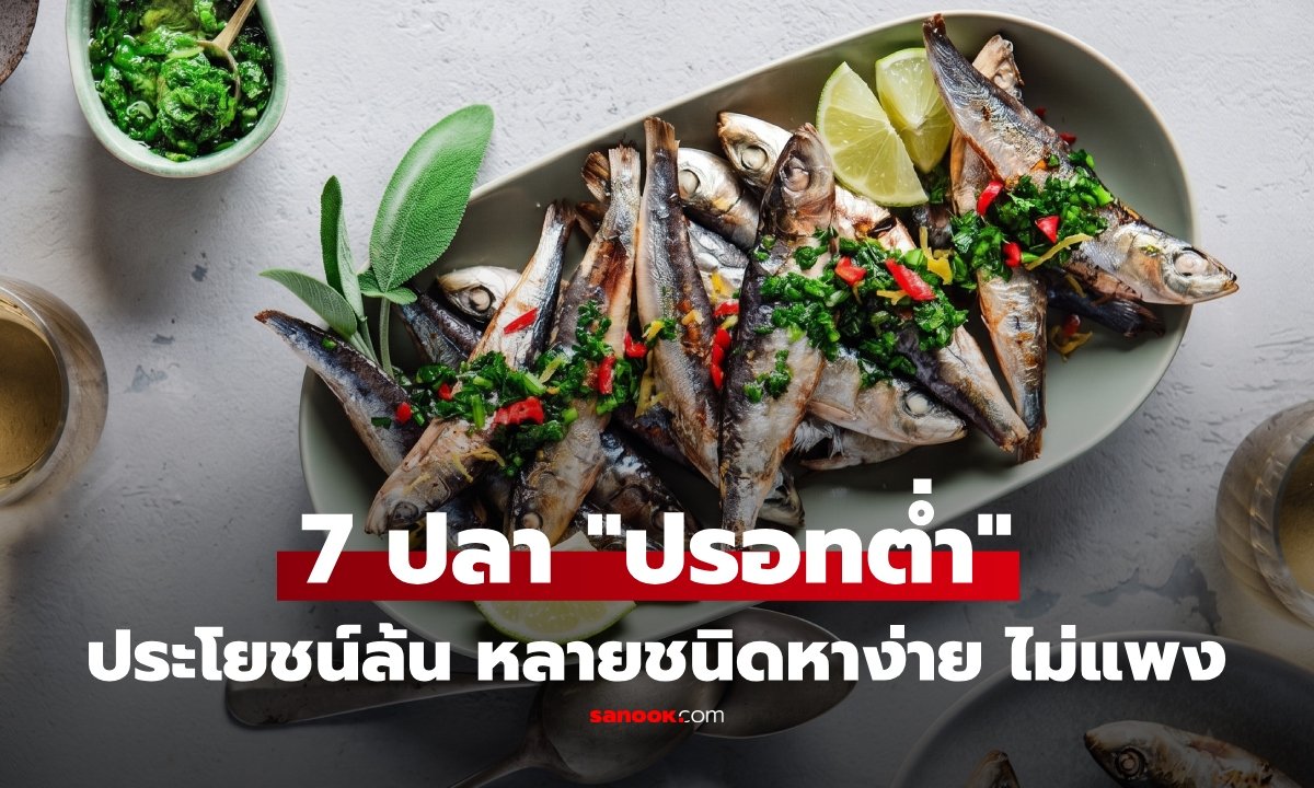 เปิดรายชื่อ 7 ปลาสารปรอทต่ำ กูรูแนะทางเลือกสุขภาพดี ราคาเข้าถึงง่าย
