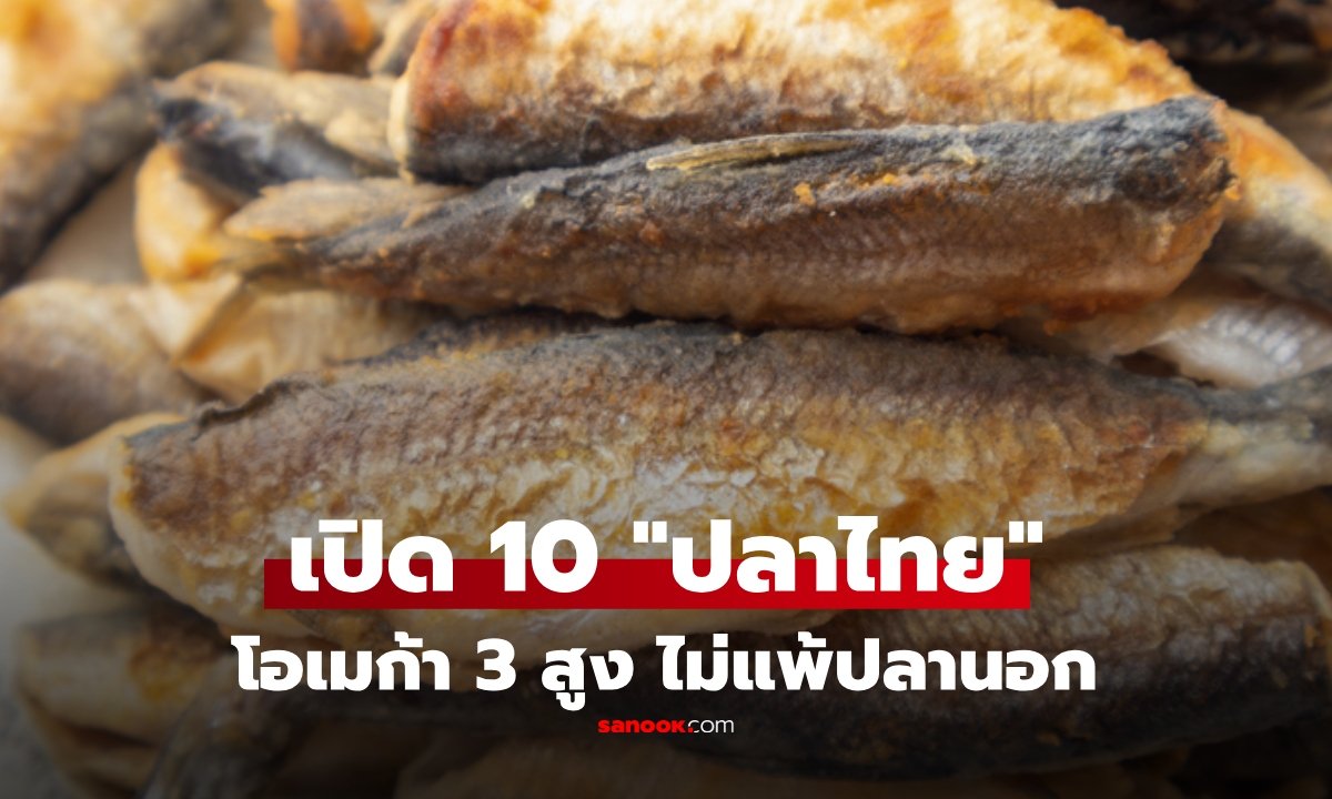 เปิดลิสต์ 10 ปลาไทยมากคุณค่า โอเมก้า 3 สูง ทางเลือกสุขภาพดีที่ไม่ต้องง้อแซลมอน