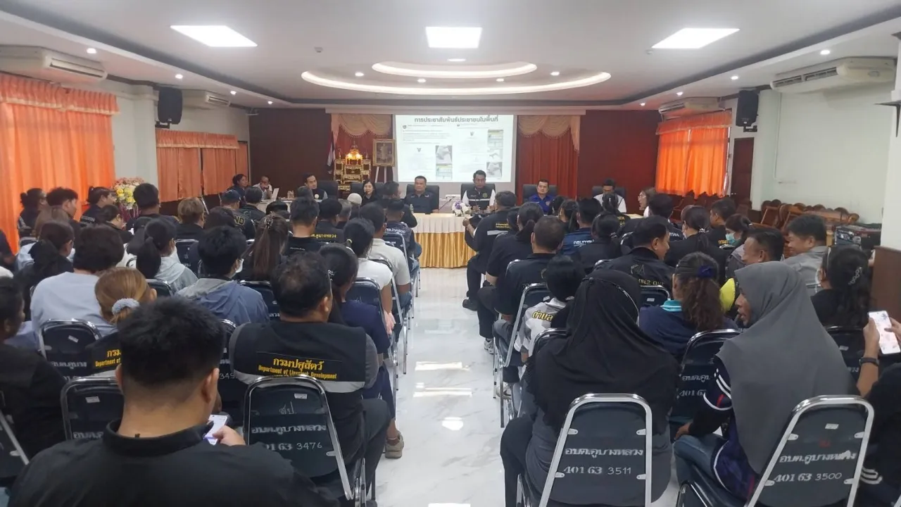 ปทุมธานีประกาศเขตโรคระบาดพิษสุนัขบ้า 3 อำเภอ หลังพบสุนัขจรจัดคลั่งไล่กัดชาวบ้าน