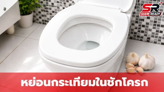 เปิดเคล็ดลับแม่บ้านยุคใหม่! หย่อน 'กระเทียม' ลงชักโครกข้ามคืน ช่วยทำความสะอาดได้จริงหรือ?