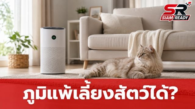 ภูมิแพ้และหอบหืดเลี้ยงสัตว์ได้ไหม? แพทย์เผยตัวการร้ายอาจไม่ใช่แค่ขนสัตว์