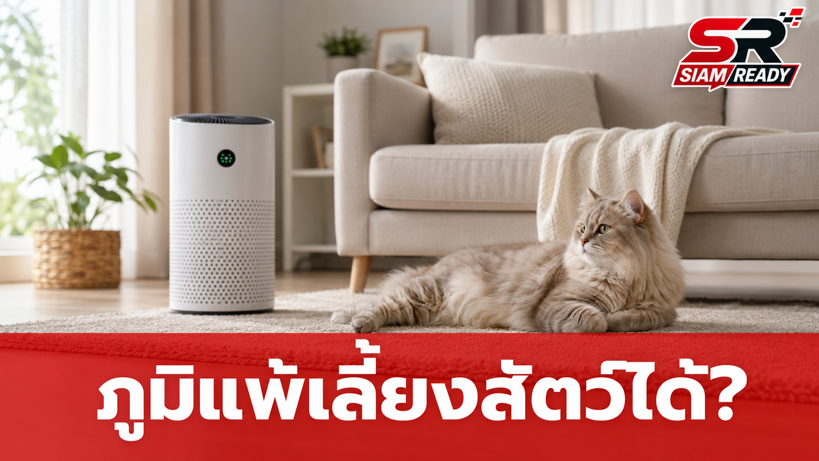 ภูมิแพ้และหอบหืดเลี้ยงสัตว์ได้ไหม? แพทย์เผยตัวการร้ายอาจไม่ใช่แค่ขนสัตว์
