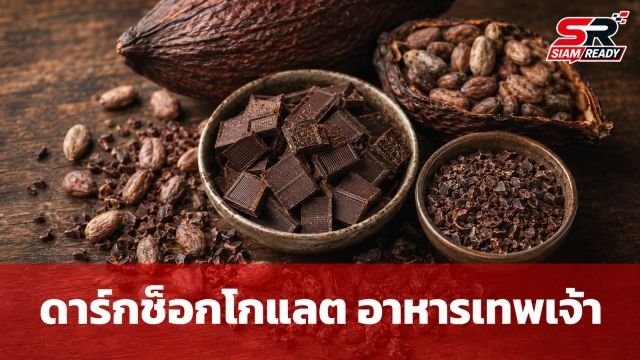 เจาะลึก 'อาหารแห่งเทพเจ้า' ดาร์กช็อกโกแลตตัวช่วยชะลอวัยและบำรุงสมอง