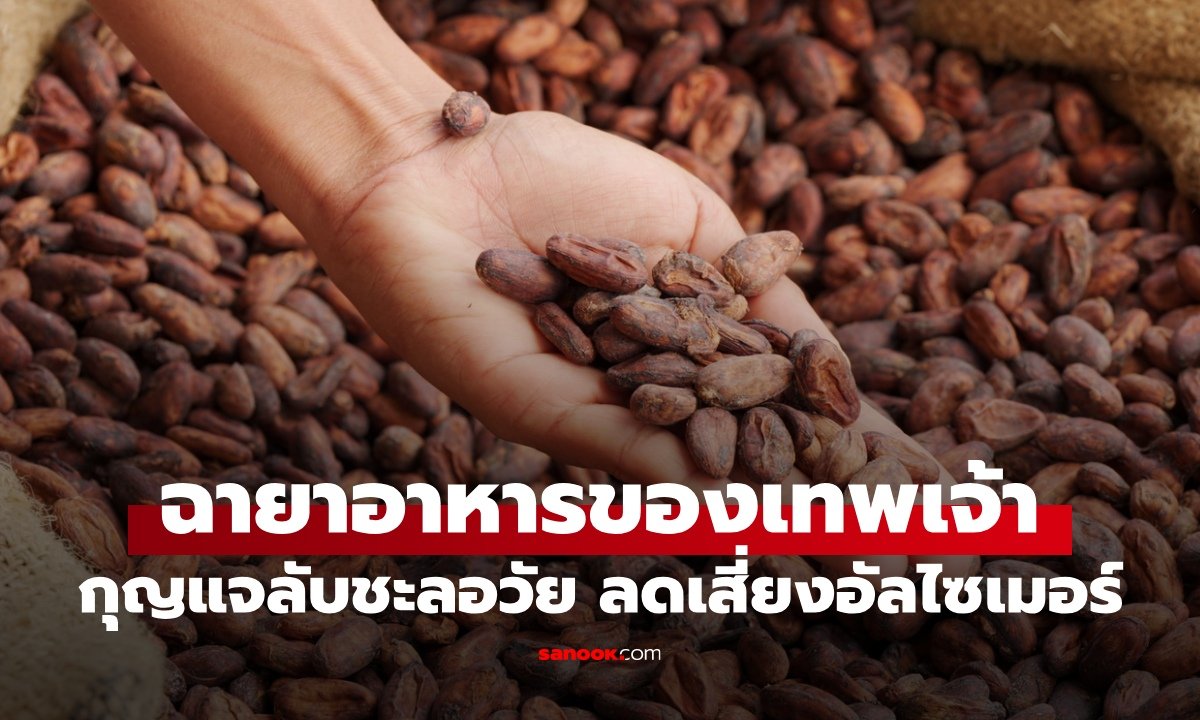 เจาะลึก 'อาหารแห่งเทพเจ้า' ดาร์กช็อกโกแลตตัวช่วยชะลอวัยและบำรุงสมอง