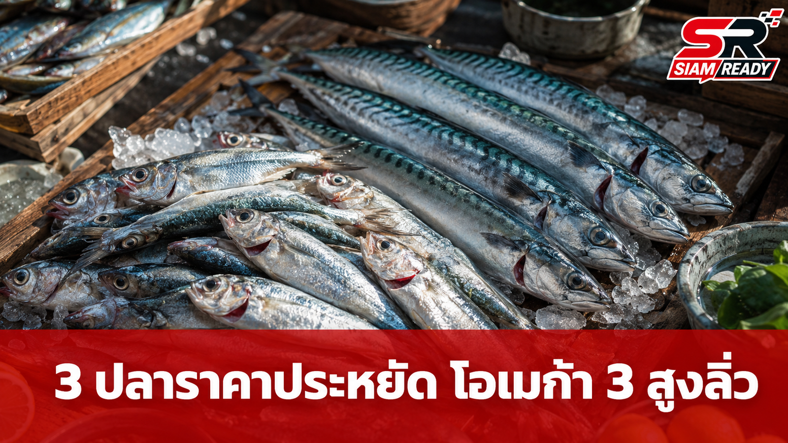 เปิดลิสต์ 3 ปลาราคาประหยัด แหล่งโอเมก้า 3 ชั้นยอด คุณภาพเทียบชั้นแซลมอน