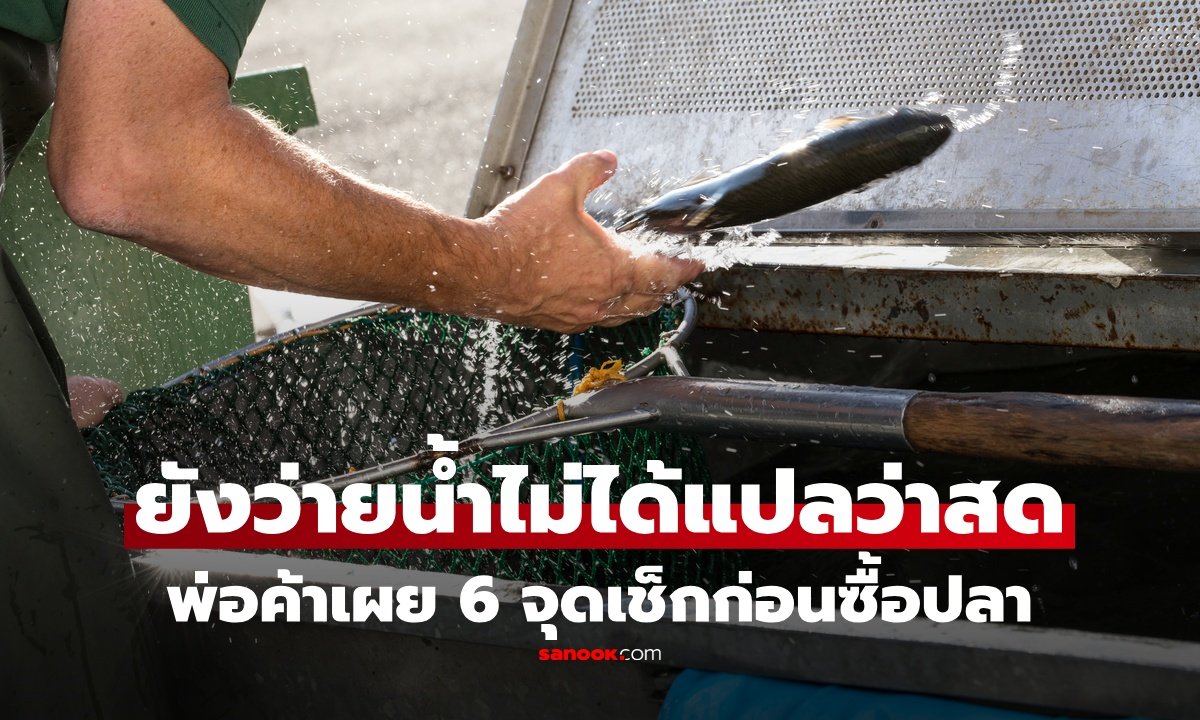 แนะเคล็ดลับเลือกซื้อปลาให้สดใหม่ มั่นใจคุณภาพด้วย 6 จุดสังเกตสำคัญ