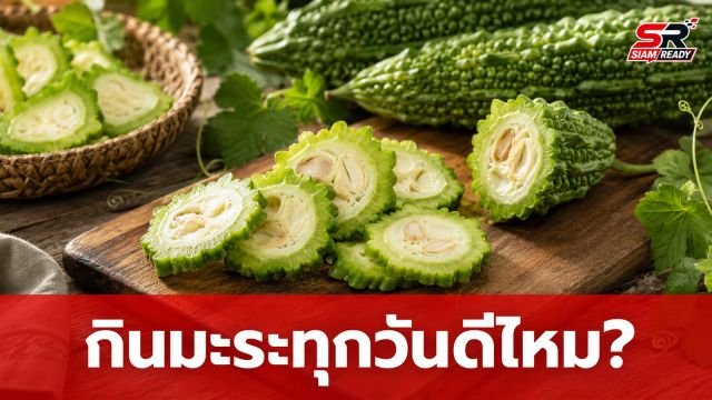 เจาะลึกสรรพคุณ 'มะระ' กินทุกวันดีจริงไหม? ไขข้อข้องใจ 5 ประเด็นสำคัญที่ควรรู้