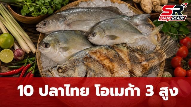 เปิดลิสต์ 10 ปลาไทยมากคุณค่า โอเมก้า 3 สูง ทางเลือกสุขภาพดีที่ไม่ต้องง้อแซลมอน