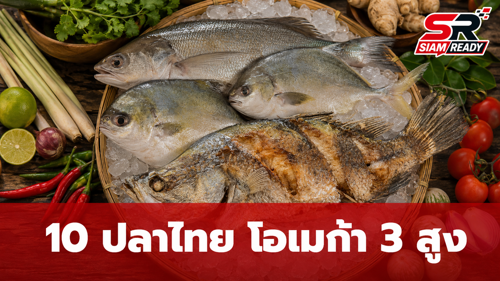 เปิดลิสต์ 10 ปลาไทยมากคุณค่า โอเมก้า 3 สูง ทางเลือกสุขภาพดีที่ไม่ต้องง้อแซลมอน