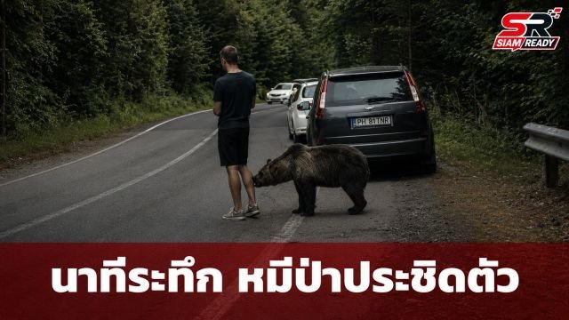 นาทีระทึก! หมีป่าบุกประชิดน่องขาชายหนุ่มกลางถนนโรมาเนีย ชาวเน็ตแห่ชมคลิปไวรัล